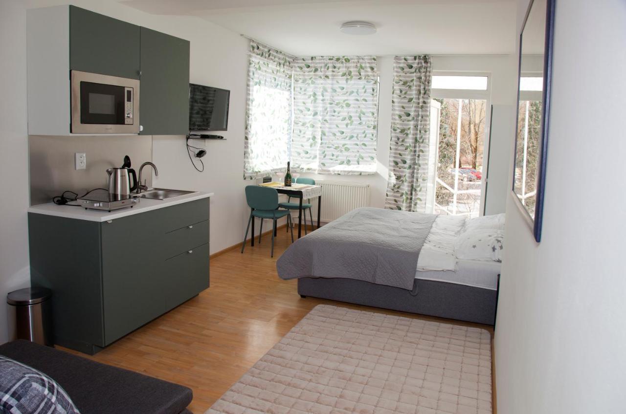 Apartman U Doktora Banská Bystrica Dış mekan fotoğraf