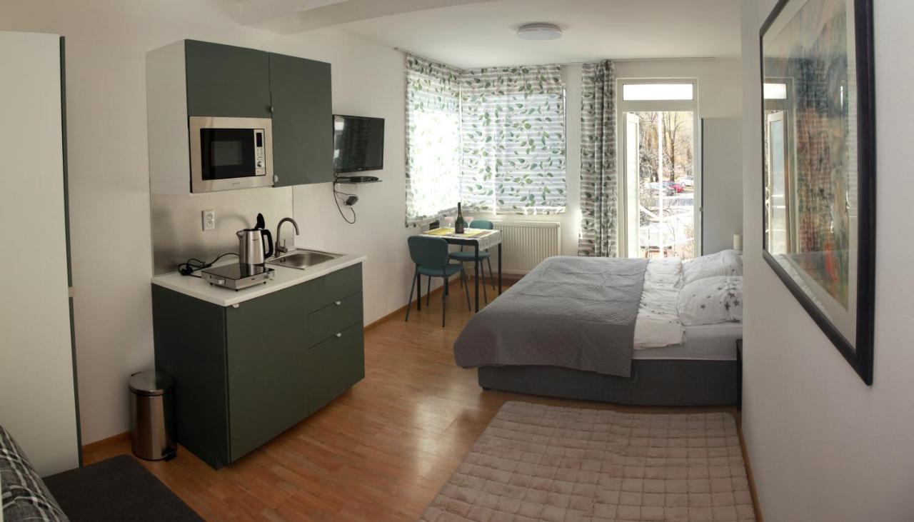 Apartman U Doktora Banská Bystrica Dış mekan fotoğraf
