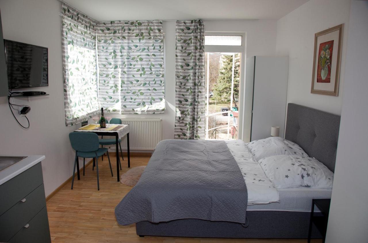 Apartman U Doktora Banská Bystrica Dış mekan fotoğraf