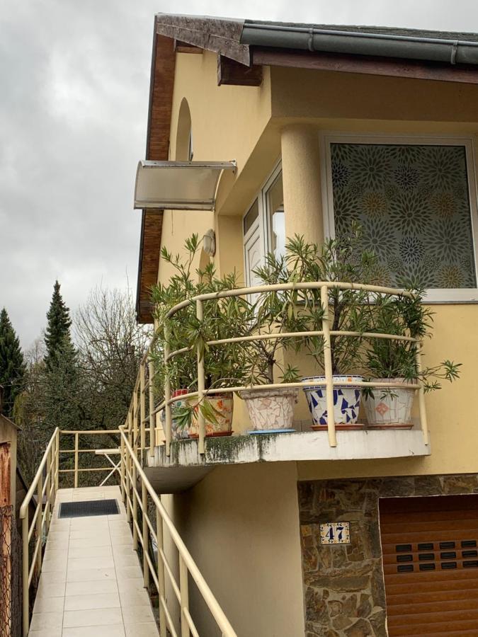 Apartman U Doktora Banská Bystrica Dış mekan fotoğraf